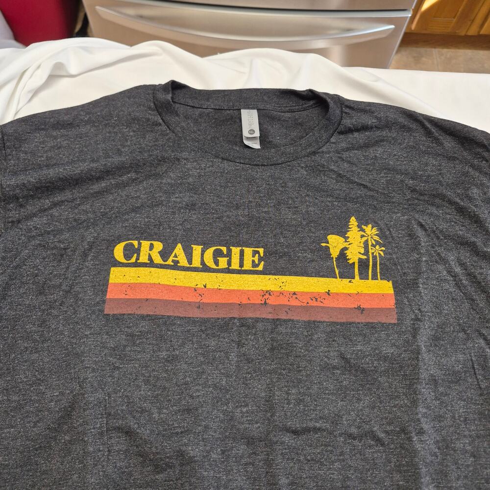 Next Level Craigie Retro Sunset Graphic T-Shirt Men’s L Gray Palm Trees Tee